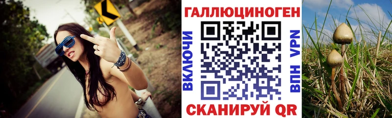 mega маркетплейс  закладки  Аткарск  Псилоцибиновые грибы прущие грибы 