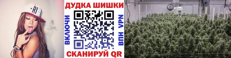 Конопля сатива  Аткарск 